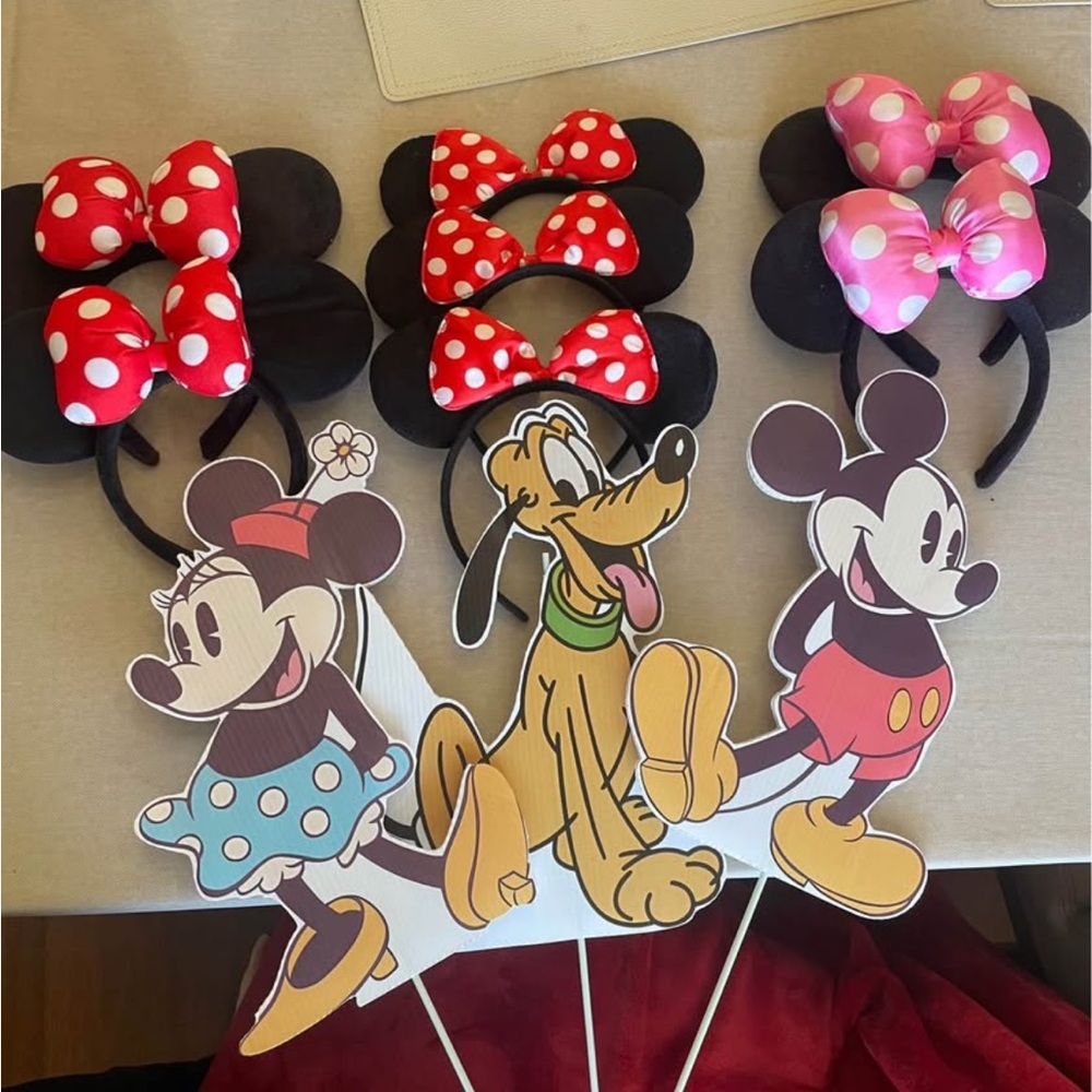 Minnie Mouse Ears and Lawn Decoration